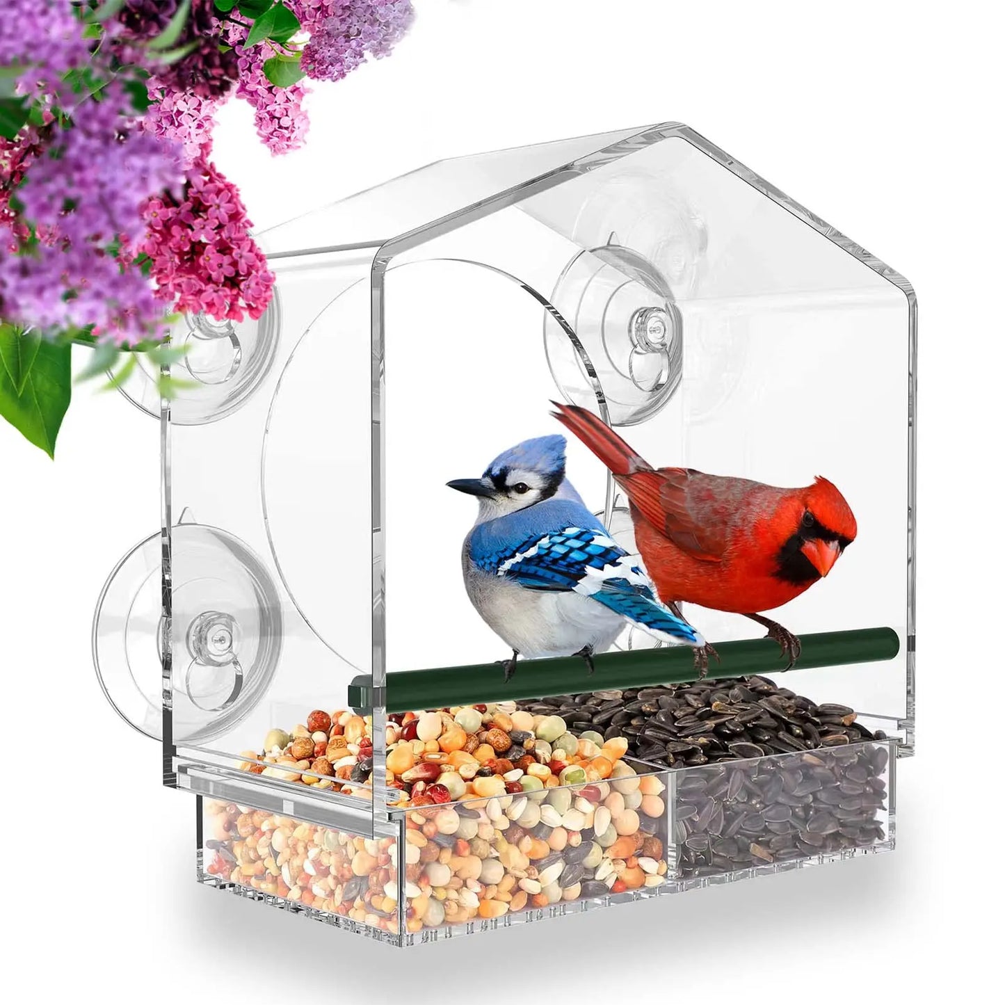 Transparent Window Bird Feeder