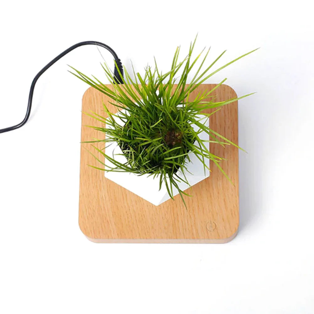 Magnetic Floating Planter for Home & Office Decor