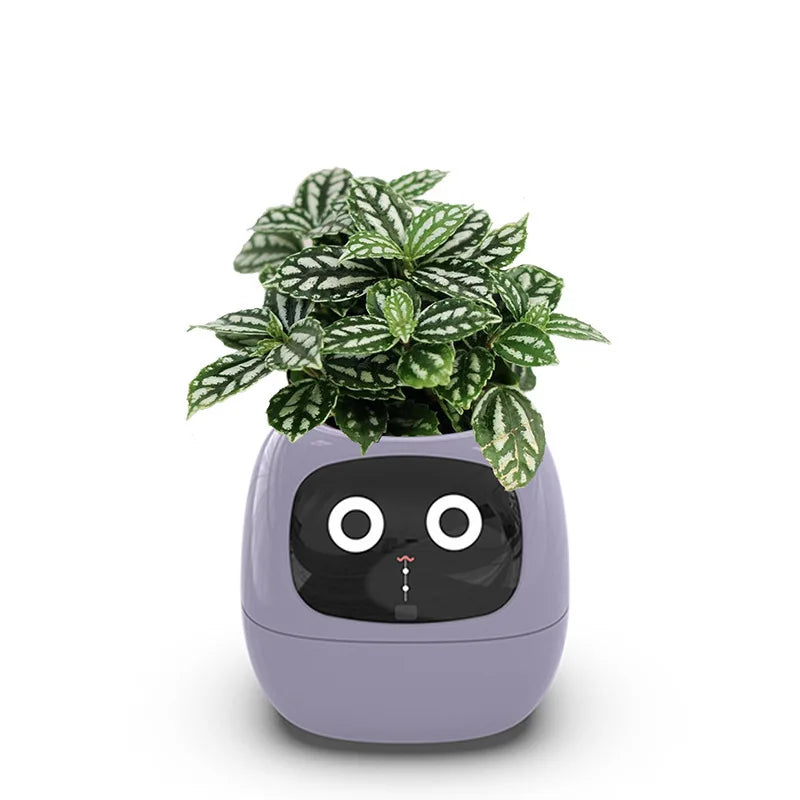 Smart Planter – 49 Expressions, 7 Sensors & AI Plant Care