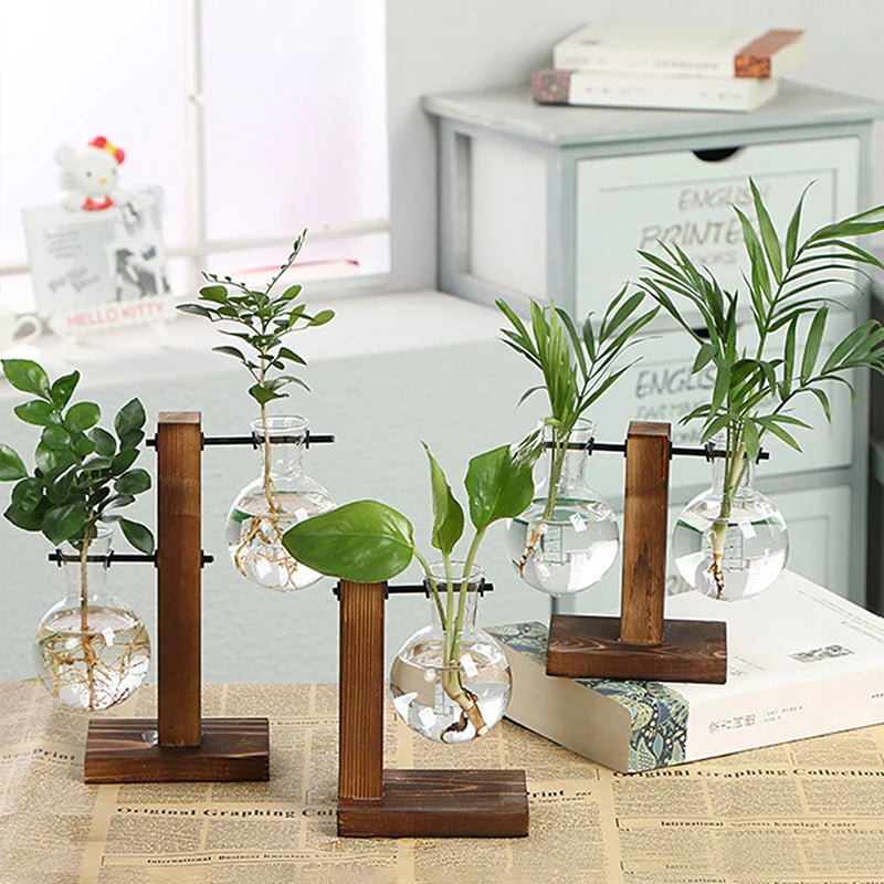 Hydroponic Plant Vase with Wooden Frame