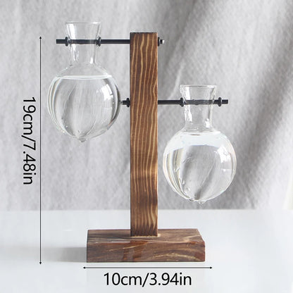 Hydroponic Plant Vase with Wooden Frame