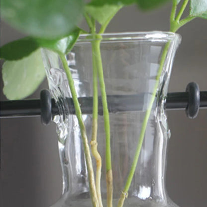 Hydroponic Plant Vase with Wooden Frame