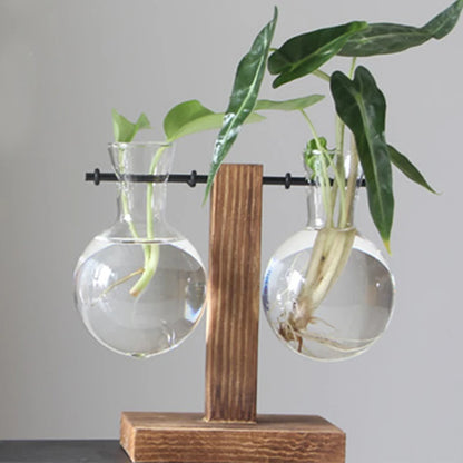 Hydroponic Plant Vase with Wooden Frame