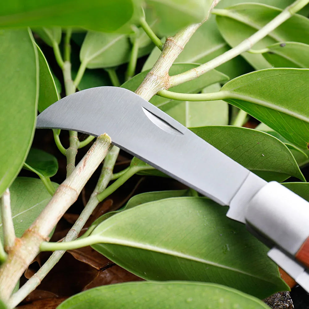 Garden Grafting Knife Stainless Steel Mushroom Electrician Folding Pocket Knife