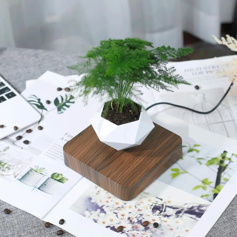 Magnetic Floating Planter for Home & Office Decor