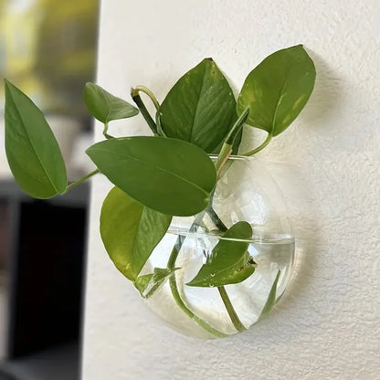 Wall Hanging Glass Terrarium