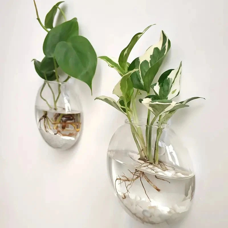 Wall Hanging Glass Terrarium