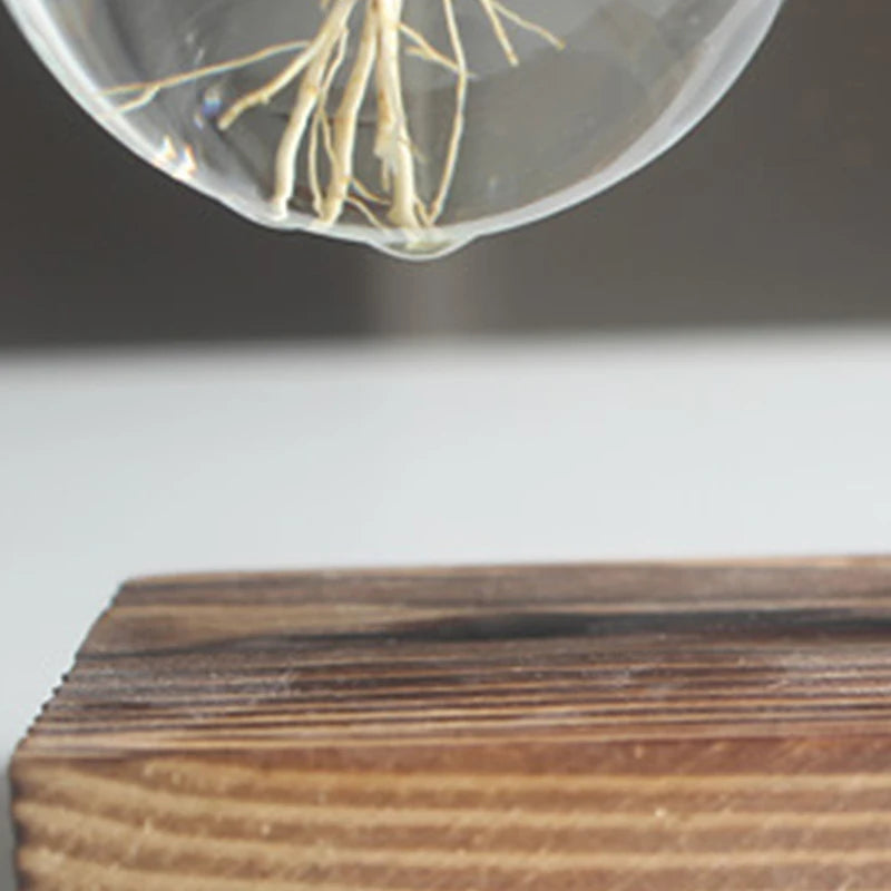 Hydroponic Plant Vase with Wooden Frame