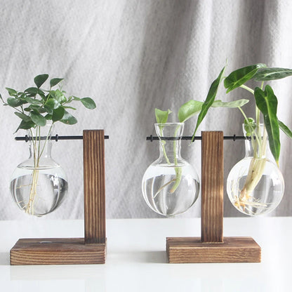 Hydroponic Plant Vase with Wooden Frame