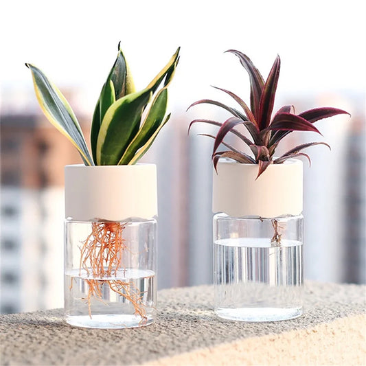 Mini Hydroponic Flower Pot Home Vase Decor