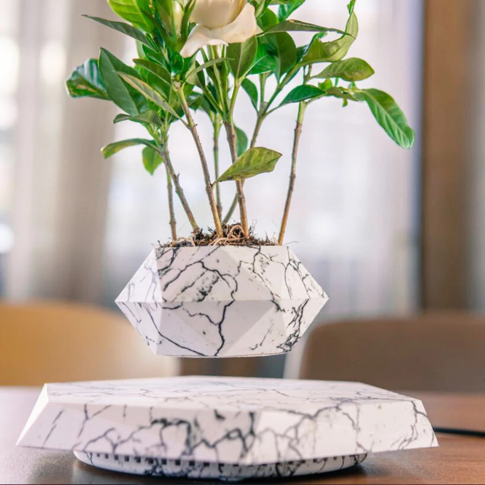 Magnetic Floating Planter for Home & Office Decor