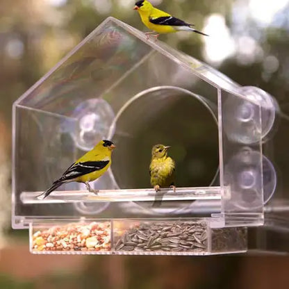 Transparent Window Bird Feeder