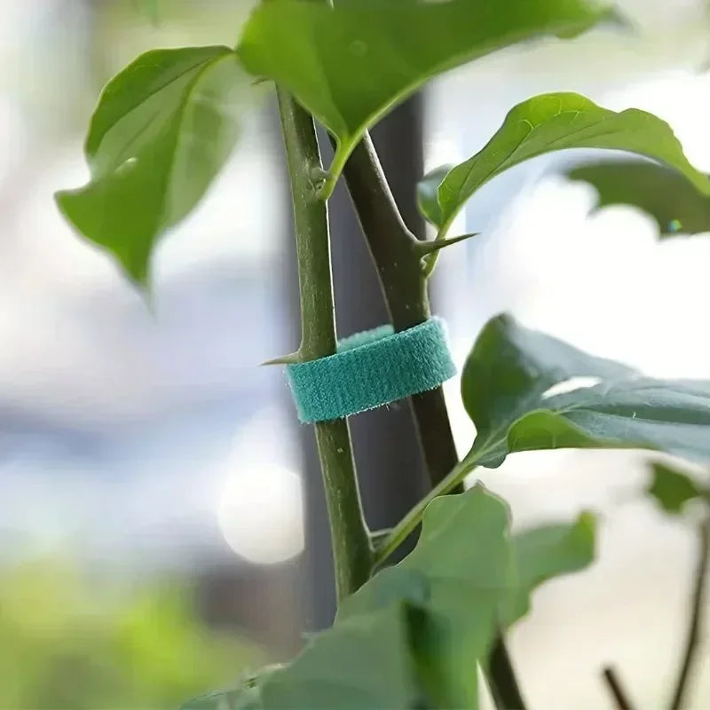 Self Adhesive Garden Tape Nylon Cable Tie for Plants