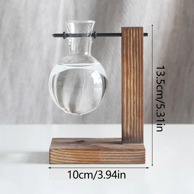 Hydroponic Plant Vase with Wooden Frame