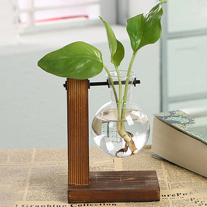 Hydroponic Plant Vase with Wooden Frame