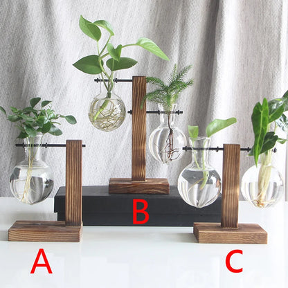 Hydroponic Plant Vase with Wooden Frame