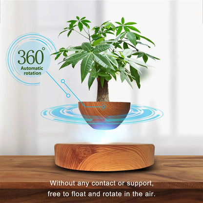 Magnetic Floating Planter for Home & Office Decor