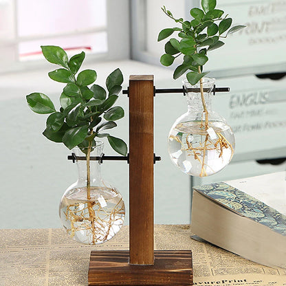 Hydroponic Plant Vase with Wooden Frame