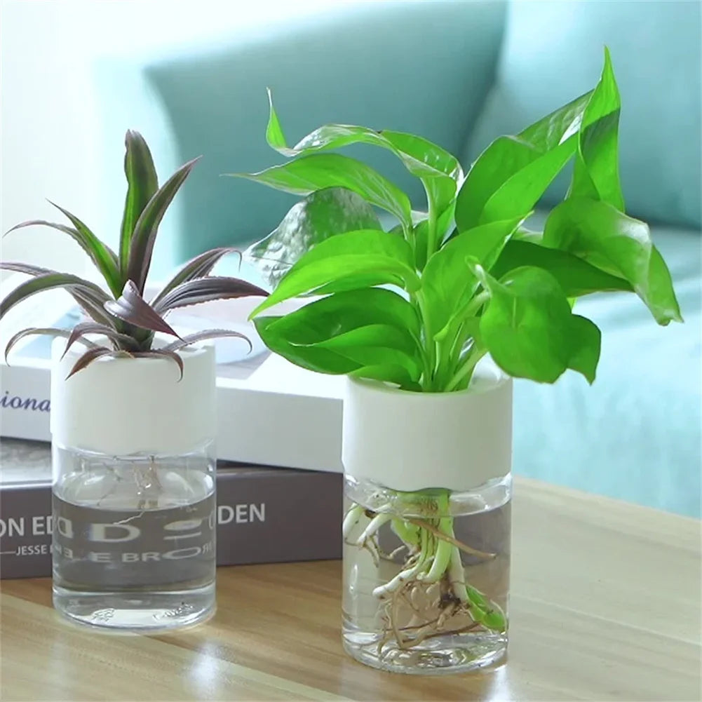 Mini Hydroponic Flower Pot Home Vase Decor