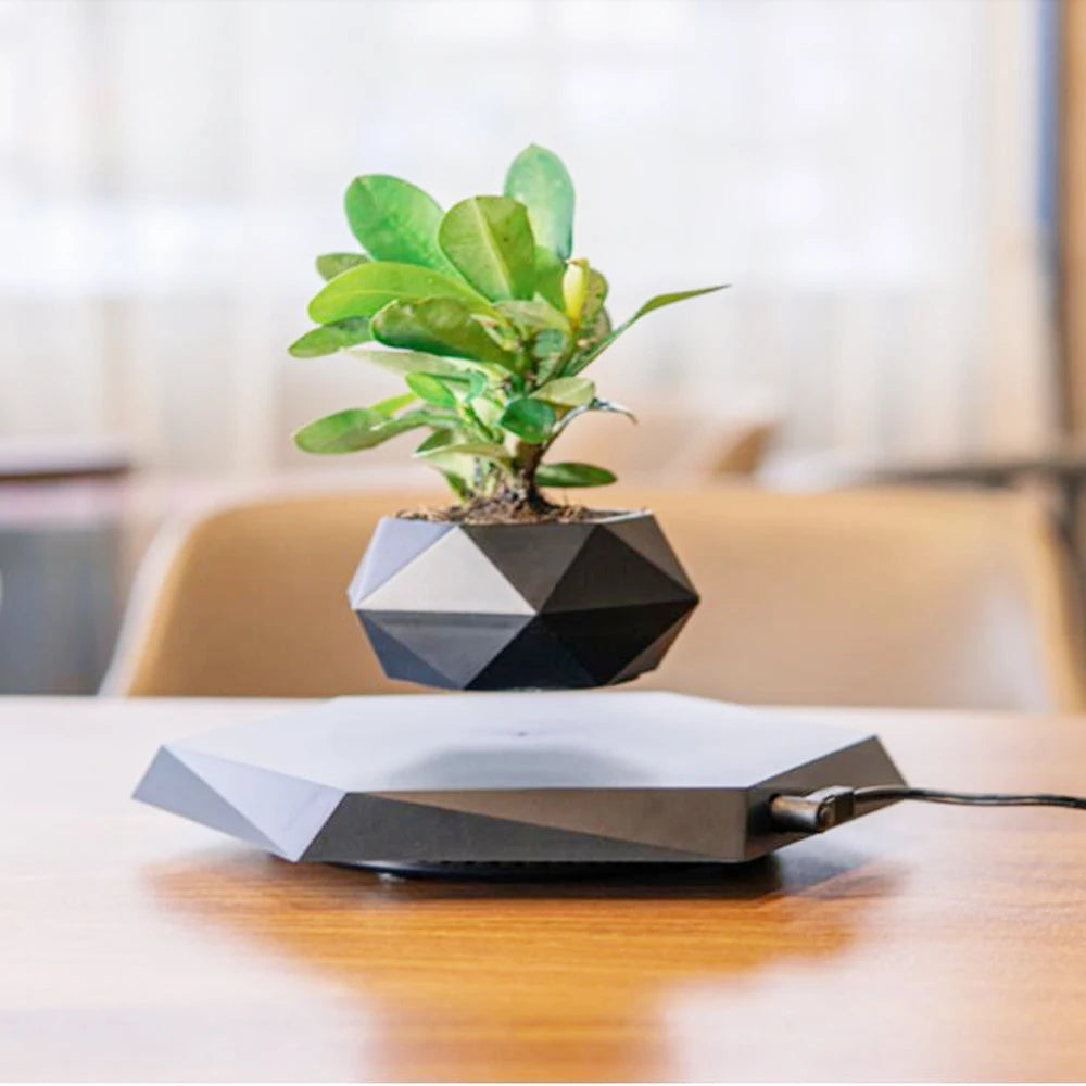 Magnetic Floating Planter for Home & Office Decor